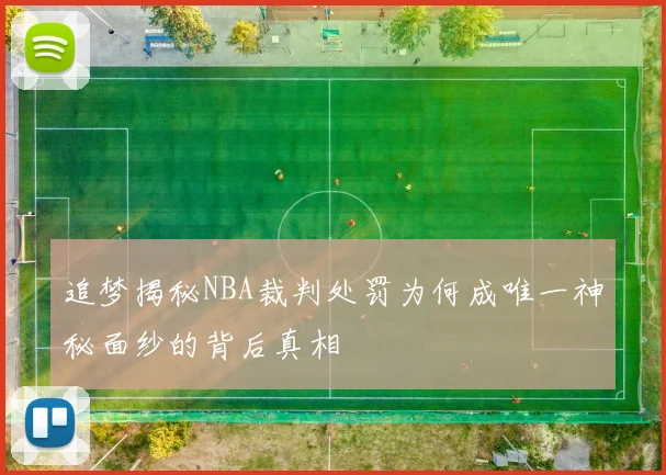 追梦揭秘NBA裁判处罚为何成唯一神秘面纱的背后真相