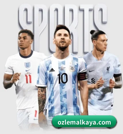 五大服务分区,信息按项目分类 | MKSPORTSMKSports
